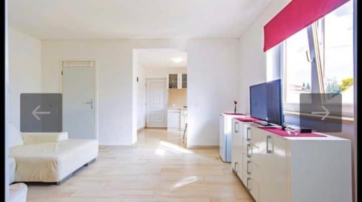 Apartments Eden Šišan Exteriér fotografie